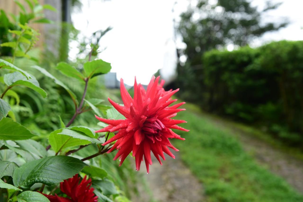 Mid Pine Home Stay Shillong Exterior foto